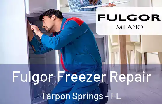  Fulgor Freezer Repair Tarpon Springs - FL