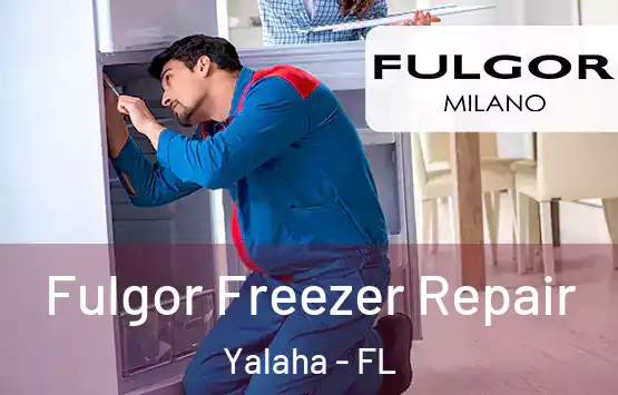  Fulgor Freezer Repair Yalaha - FL