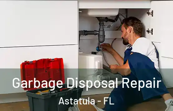  Garbage Disposal Repair Astatula - FL