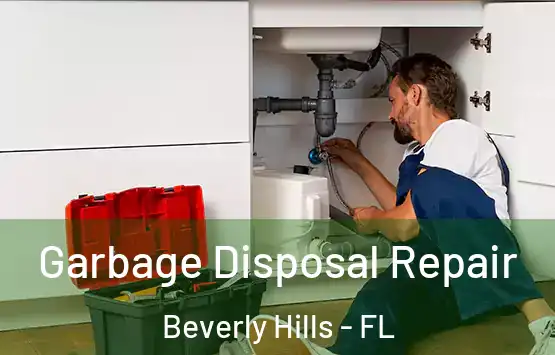  Garbage Disposal Repair Beverly Hills - FL