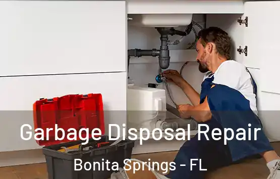  Garbage Disposal Repair Bonita Springs - FL