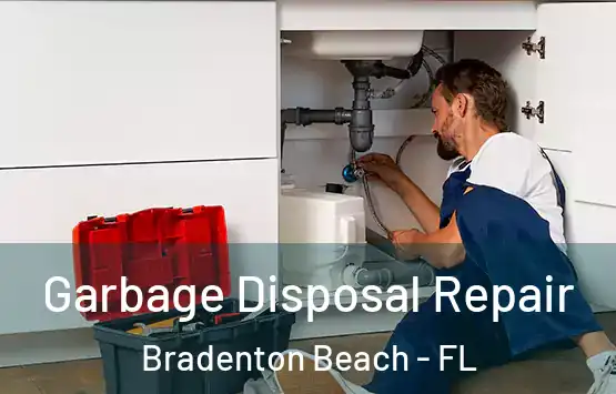  Garbage Disposal Repair Bradenton Beach - FL