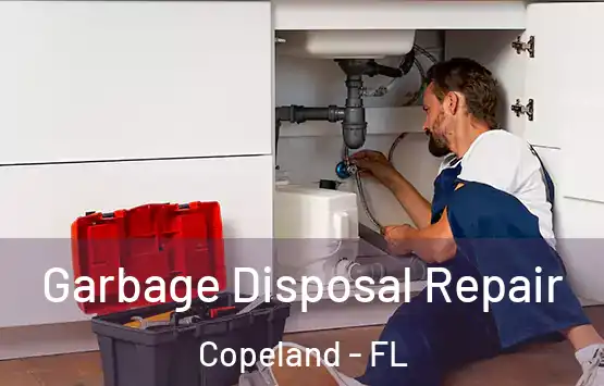  Garbage Disposal Repair Copeland - FL