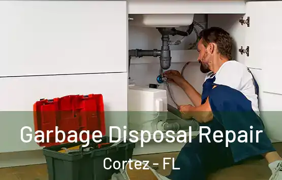  Garbage Disposal Repair Cortez - FL