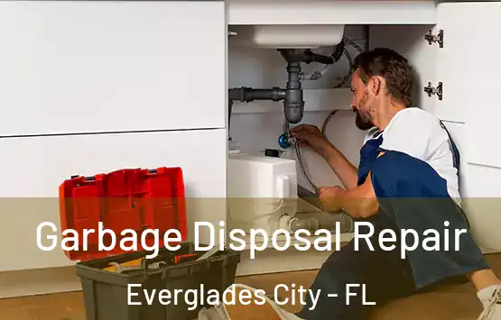  Garbage Disposal Repair Everglades City - FL