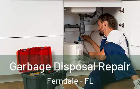  Garbage Disposal Repair Ferndale - FL