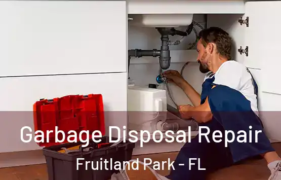  Garbage Disposal Repair Fruitland Park - FL