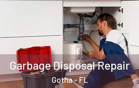  Garbage Disposal Repair Gotha - FL