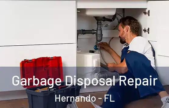  Garbage Disposal Repair Hernando - FL