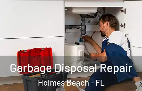  Garbage Disposal Repair Holmes Beach - FL