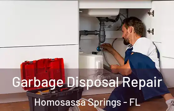  Garbage Disposal Repair Homosassa Springs - FL