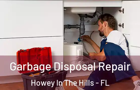  Garbage Disposal Repair Howey In The Hills - FL