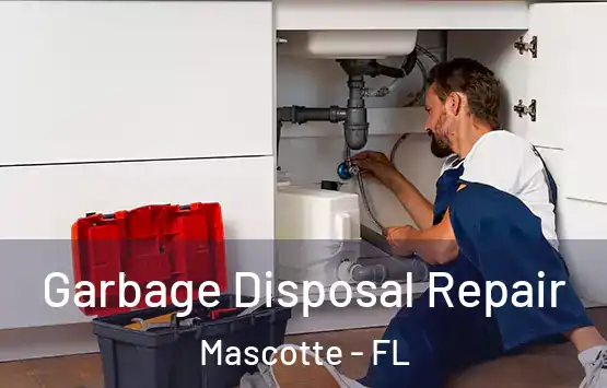  Garbage Disposal Repair Mascotte - FL
