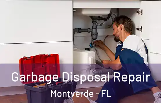  Garbage Disposal Repair Montverde - FL