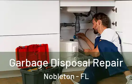  Garbage Disposal Repair Nobleton - FL
