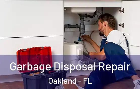  Garbage Disposal Repair Oakland - FL