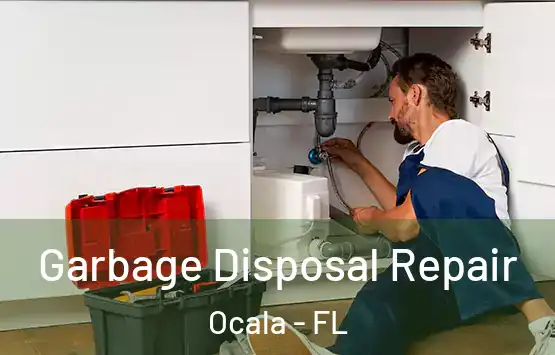  Garbage Disposal Repair Ocala - FL