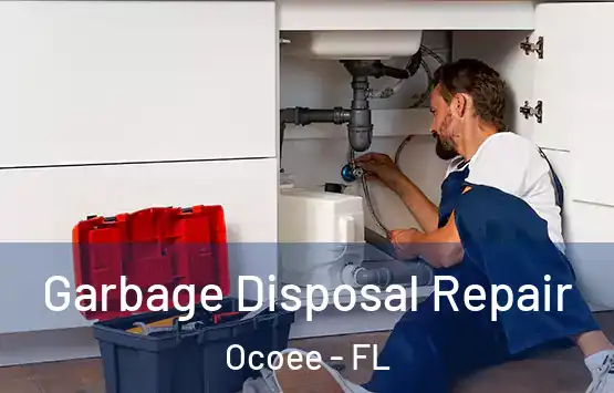  Garbage Disposal Repair Ocoee - FL