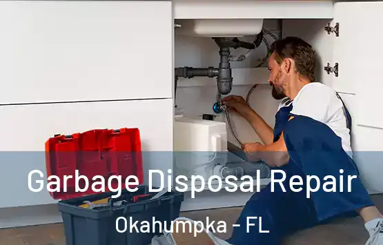  Garbage Disposal Repair Okahumpka - FL