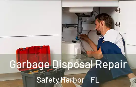  Garbage Disposal Repair Safety Harbor - FL