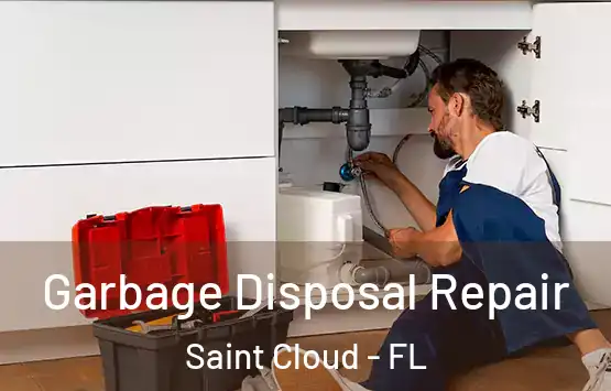  Garbage Disposal Repair Saint Cloud - FL