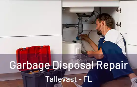  Garbage Disposal Repair Tallevast - FL
