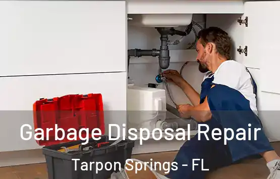  Garbage Disposal Repair Tarpon Springs - FL