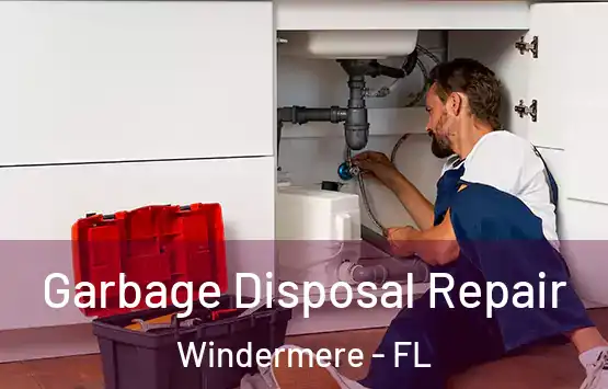 Garbage Disposal Repair Windermere - FL