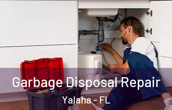  Garbage Disposal Repair Yalaha - FL
