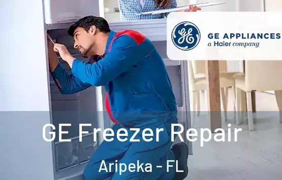  GE Freezer Repair Aripeka - FL