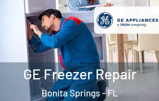  GE Freezer Repair Bonita Springs - FL