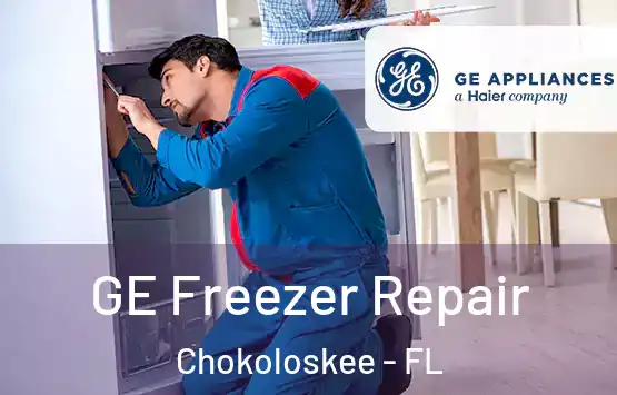  GE Freezer Repair Chokoloskee - FL