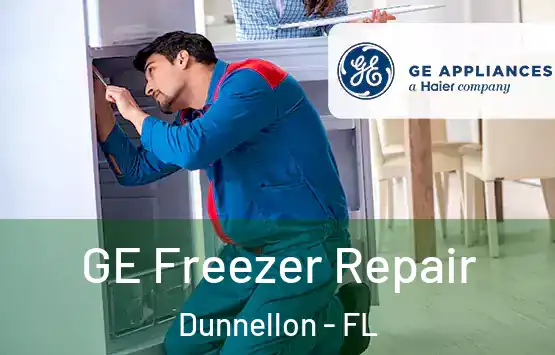  GE Freezer Repair Dunnellon - FL