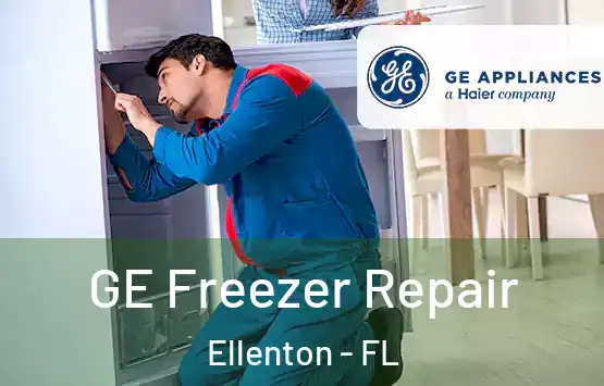  GE Freezer Repair Ellenton - FL