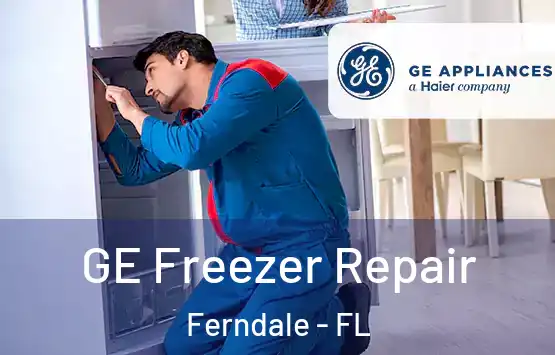  GE Freezer Repair Ferndale - FL