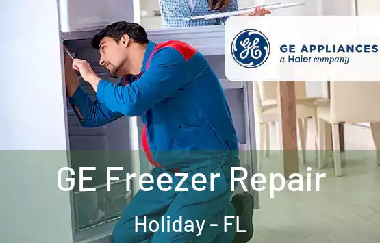  GE Freezer Repair Holiday - FL