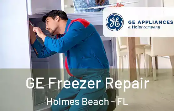  GE Freezer Repair Holmes Beach - FL