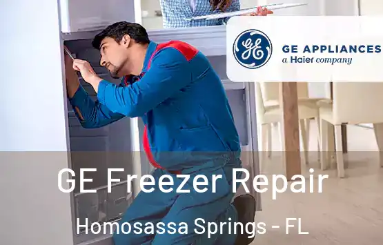  GE Freezer Repair Homosassa Springs - FL