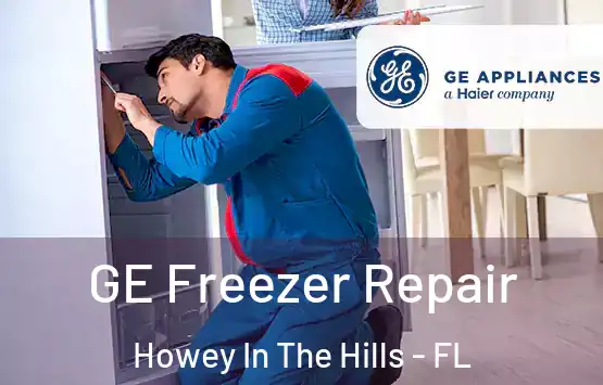  GE Freezer Repair Howey In The Hills - FL