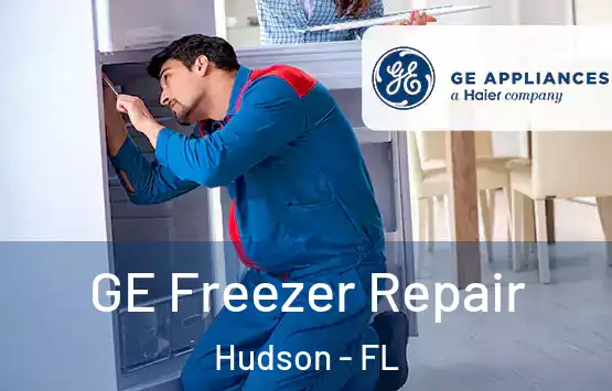  GE Freezer Repair Hudson - FL