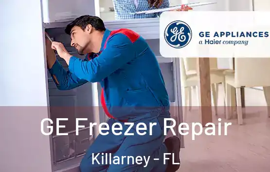  GE Freezer Repair Killarney - FL