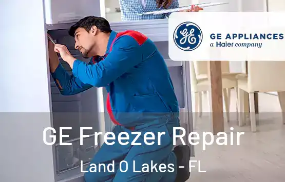 GE Freezer Repair Land O Lakes - FL