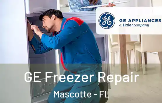  GE Freezer Repair Mascotte - FL