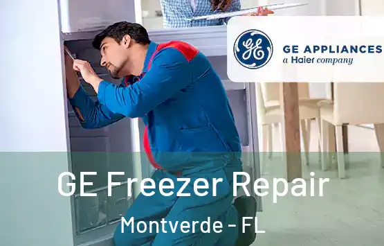  GE Freezer Repair Montverde - FL