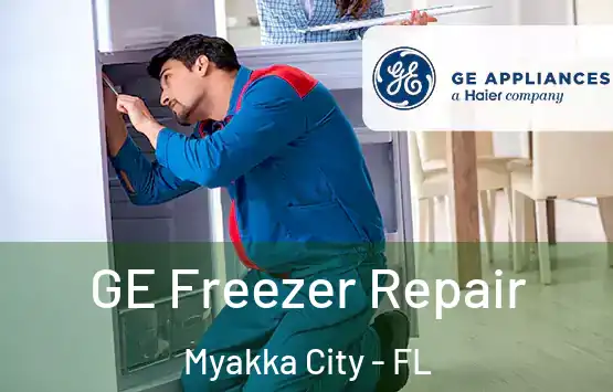  GE Freezer Repair Myakka City - FL