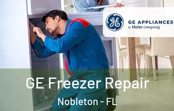  GE Freezer Repair Nobleton - FL