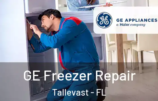  GE Freezer Repair Tallevast - FL