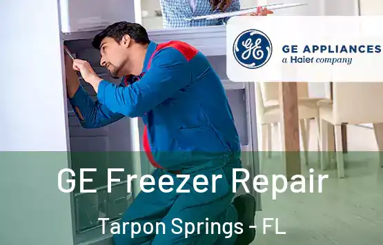  GE Freezer Repair Tarpon Springs - FL