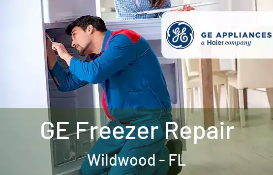  GE Freezer Repair Wildwood - FL
