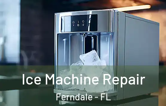  Ice Machine Repair Ferndale - FL